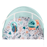 Mecedora de Lujo para bebe Fisher Price